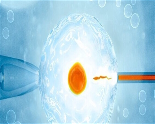 宜昌哪家医院做试管婴儿？宜昌市哪家做试管好？