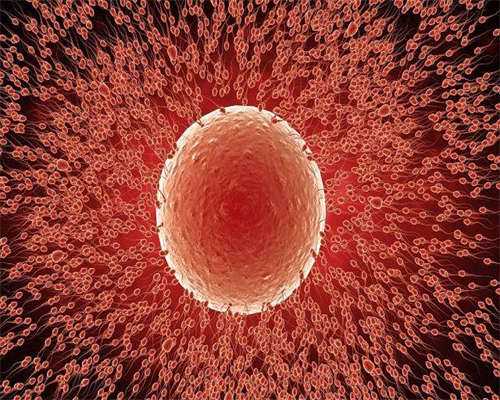 宜昌中心人民医院试管费用,宜昌中心人民医院生殖科！