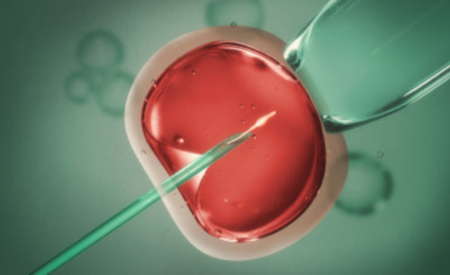 荆州三代试管选择男女的费用