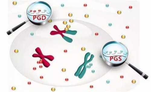 代孕儿子免费咨询,长春胚胎染色体检查价格明细来了，南关区检查地点在这