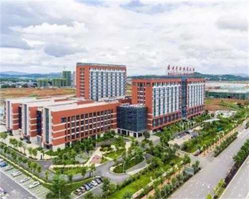 湖北30万代生，湖北30万代生