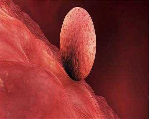 代生机构包生女孩_助孕机构包成功,孕产期在冬天进产房分娩时应该穿什么衣服