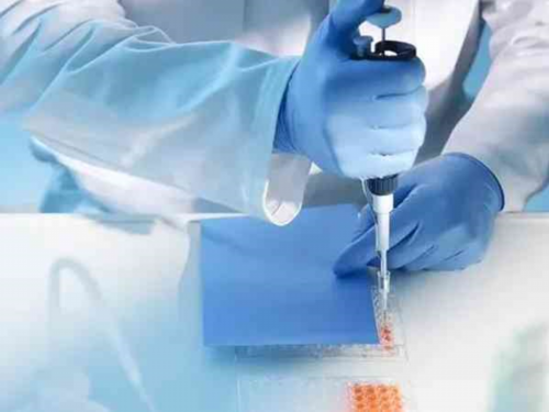 子宫内膜癌治愈后能做试管婴儿吗