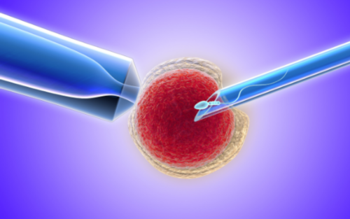 荆州做三代试管最权威的医院比较有名的是哪些？