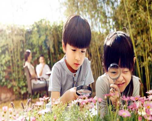 借卵助孕公司:做试管婴儿哪个年龄阶段最好