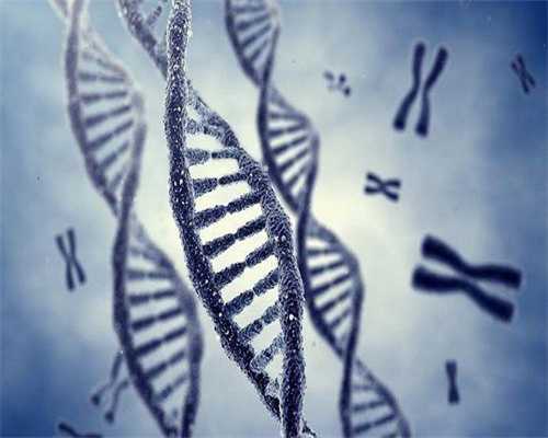 2026湖北做三代试管婴儿医院排名哪家最好？