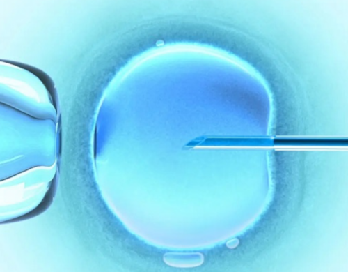 十堰市人民医院第三代试管婴儿,十堰供卵试管十堰市人民医院试管婴儿成功率