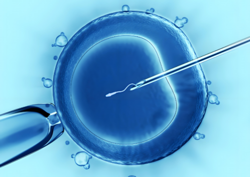 试管可以放多个胚胎吗  试管婴儿可以放多个胚胎吗？试管婴儿多胎妊娠的风险