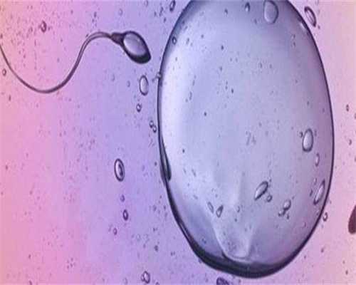 代怀小孩价格:试管婴儿和正常受孕有什么区别？