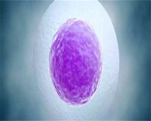 那里有代孕机构,子宫前位做试管适合哪种方案，附试管价格！