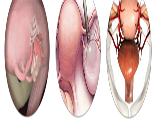 湖北荆州生二胎有补贴吗？[湖北荆州生二胎有补贴吗]