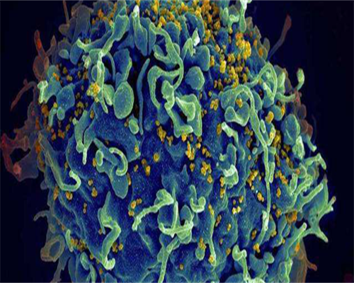 供卵助孕包男孩,子宫内膜厚度
						