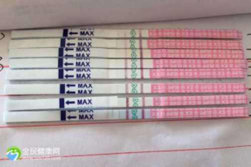 代孕那家公司好_供卵代孕医生哪里的,宝鸡三代试管可以移植2个胚胎吗？宝鸡三