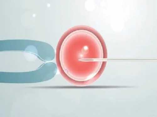 包成功代怀网：「湖北三代试管哪家好」天门三代试管包男孩价格