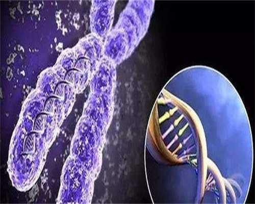 亳州捐卵供卵试管公司胚胎移植后这些禁忌事项