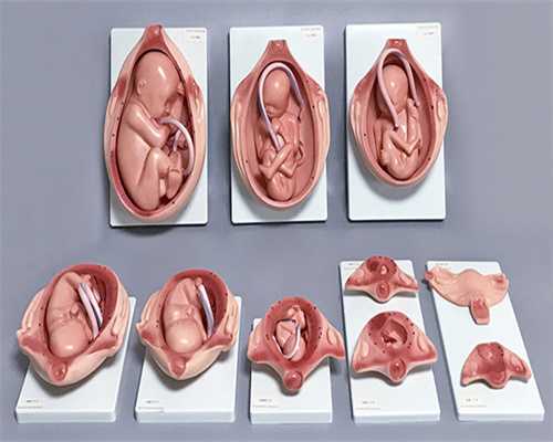 借卵生子的自身条件_武汉做供精,湖北武汉哪家供卵试管婴儿好？