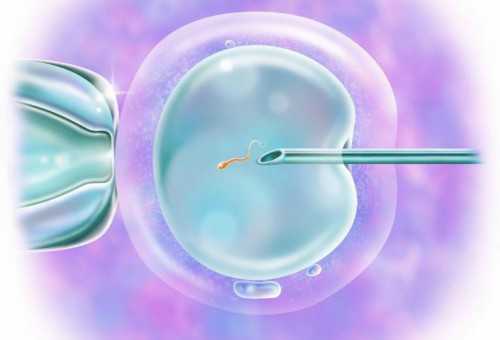 借卵需要流程:襄阳试管婴儿医院排名