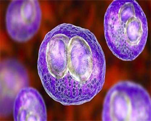 试管代生网:怀孕初期体温一天的变化规律