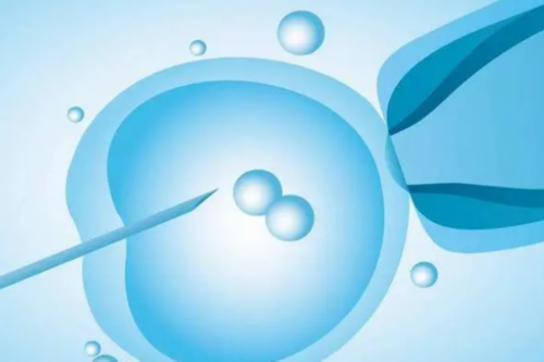 做试管代孕费用_海外代孕官网,胚胎移植后的全过程详解：着床这事儿，它自己