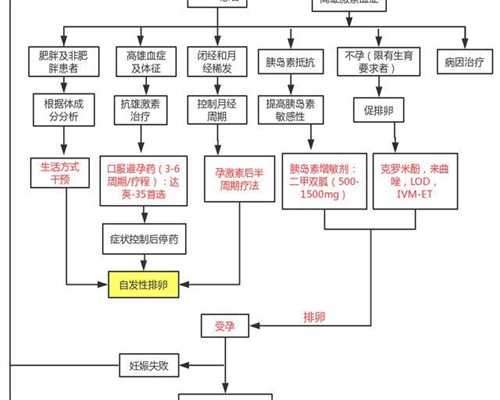 湖北急找代生，湖北急找代生