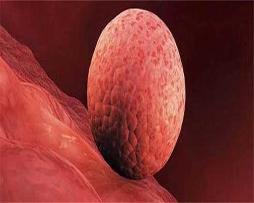 湖北代生成本，湖北代生报价