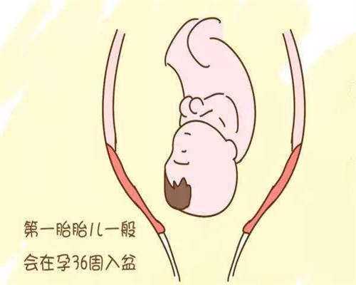 胎停是否要做胚胎染色体