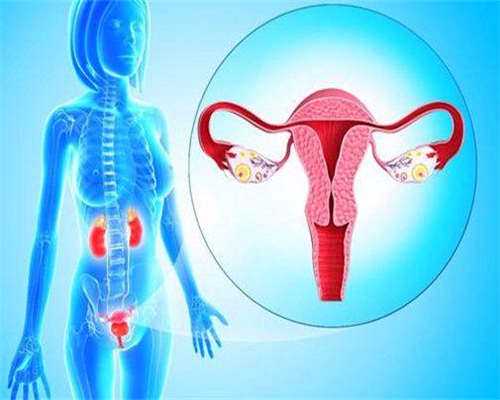 备孕可以吃黄瓜吗（备孕需要检查）