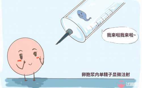 襄阳试管婴儿技术咋样，可靠吗