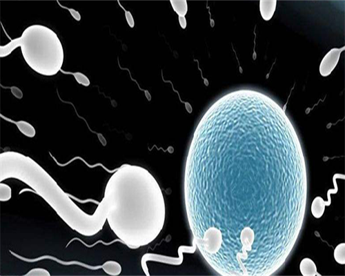 武汉代怀供卵流程，武汉代怀孕捐卵女孩