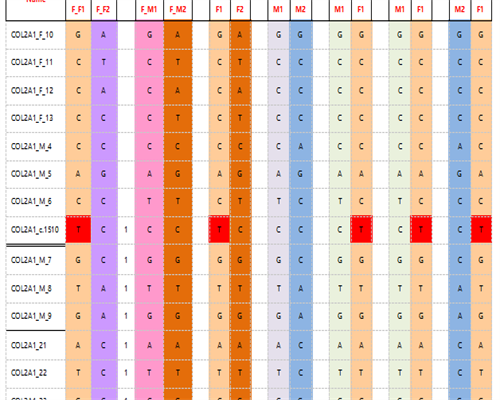代孕可靠不,纵隔子宫怀孕几个月最危险？能否保到生取决于多久稳定