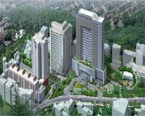 湖北助孕公司，湖北代生助孕