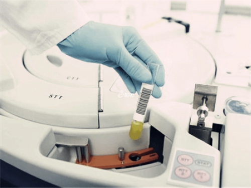 怎么湖北代孕，湖北代孕市场的现状