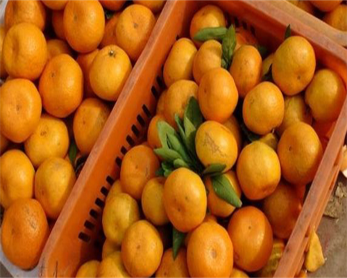 湖北助孕电话，湖北代生助孕