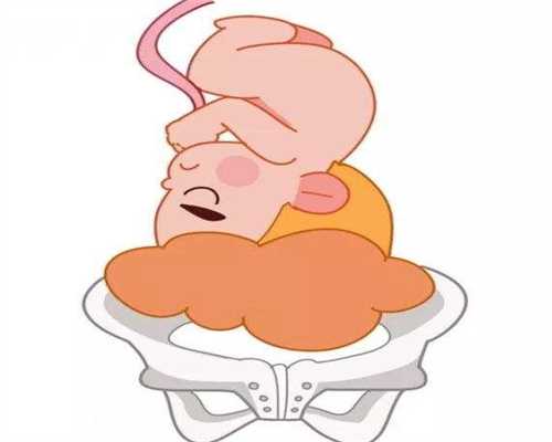 湖北代生成功，湖北代生成功