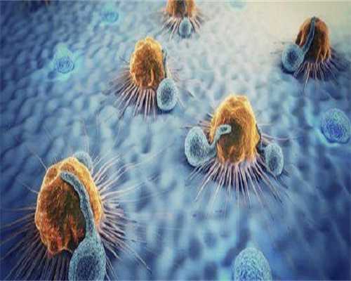 试管代孕费用明细,输卵管造影后别过早怀孕，多久可以同房备孕真有讲究