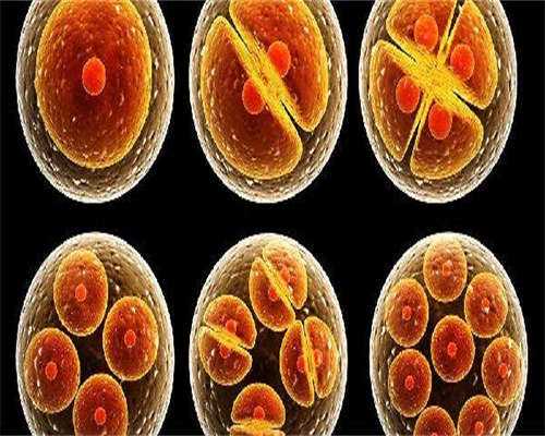 第三代试管婴儿：试管婴儿冷冻胚胎移植准备需做好，这3项很重要？