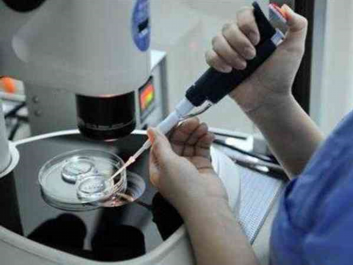 代生费用排名:胚胎等级4bb什么意思！胚胎等级4c！