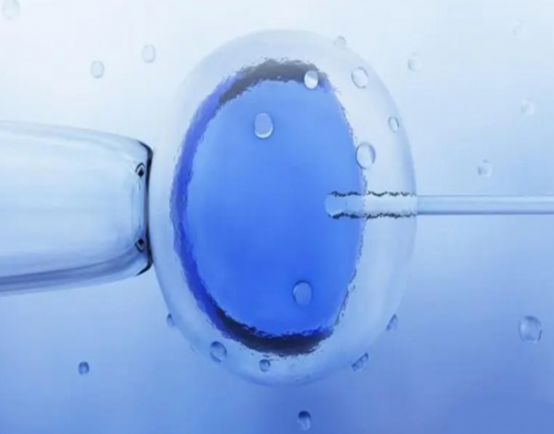 湖北20万代生，湖北20万代生