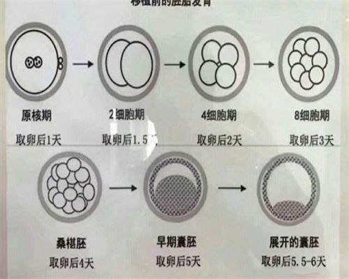 武汉代怀供卵医院，武汉代怀孕招捐卵