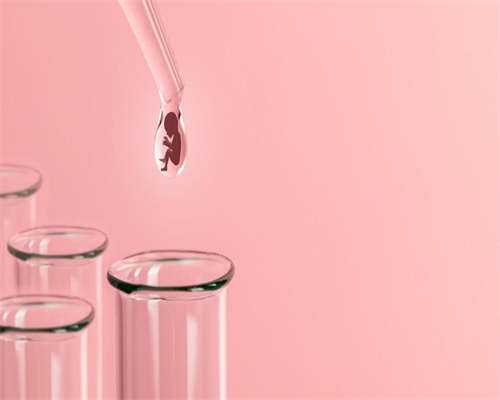 武汉服务好的助孕_失独供卵生子价格表,武汉做供卵试管需要多少钱，2026年湖北