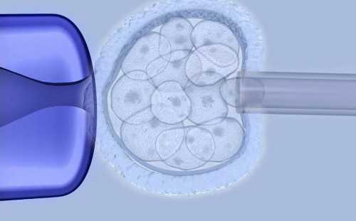 国内供卵服务_全国供卵中心排名,有经验的姐妹说说移植后拉肚子是怎么回事？