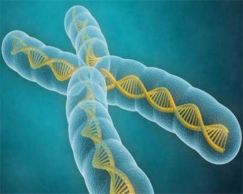 黄冈三代试管做一次大约多少钱？三代试管总费用？